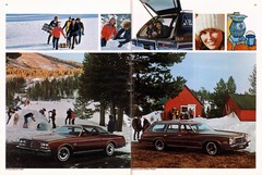 1977 Buick Full Line-32-33.jpg